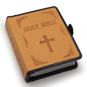 HOLY Precious Bible (L ocher) 