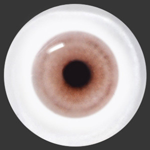 12mm Painting Flat Round Glass Eyes (UD18) 