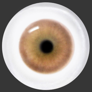 12mm Painting Flat Round Glass Eyes (UD20)