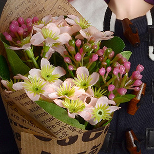 Middle Chickweed Flower Bouquet (Pink)