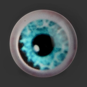 12mm - Omga Flat Round Glass Eyes (VE03)