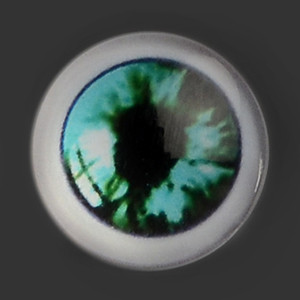 12mm - Omga Flat Round Glass Eyes (VE06)