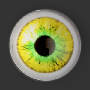 12mm - Omga Flat Round Glass Eyes (VE08)