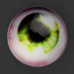 12mm - Omga Flat Round Glass Eyes (VE09)