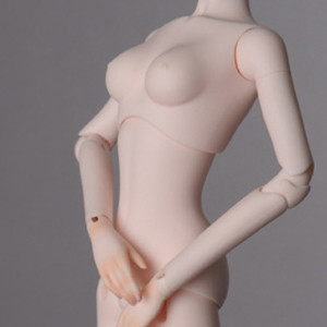 Fashion Doll - Chest Part