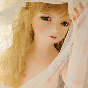 Ball-jointed doll body blushing cost