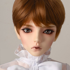 (8-9) HSDW Short Wig (Brown)