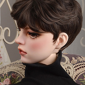 (13-14) HSDW Short Wig (D Brown)